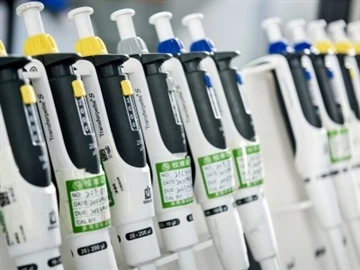 Jaká je normální hodnota choriového gonadotropinu